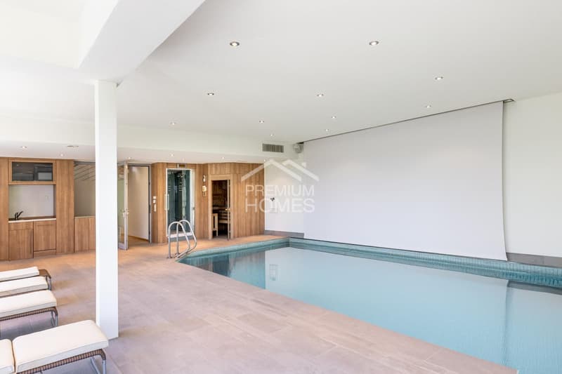 Unique villa with a view of Lake Sempach and the Central Swiss Alps (12)