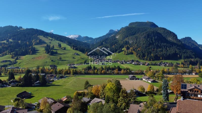 Land for secondary residences - a rare opportunity in the Saanenland! (3)