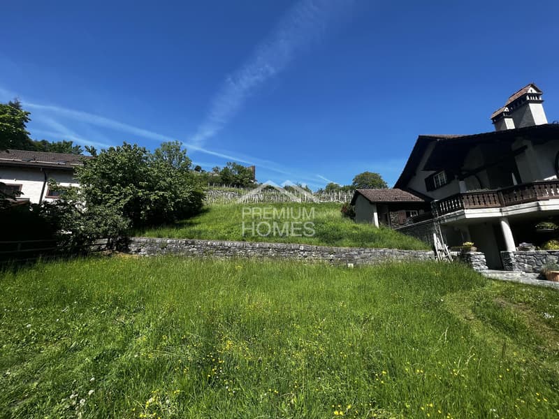 Terreno attraente per grandi pensatori (2)