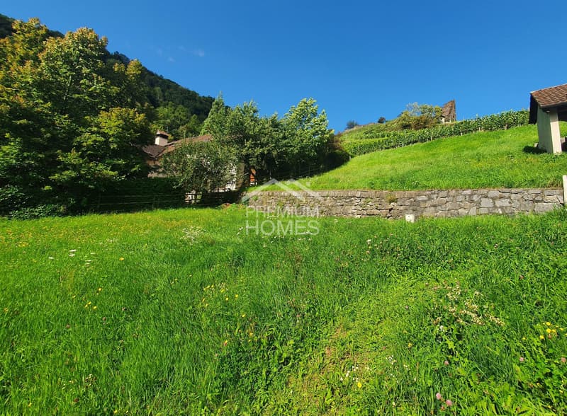 Terreno attraente per grandi pensatori (1)