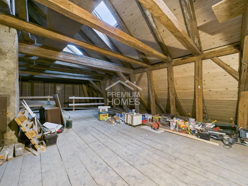 Versatile multi-family house with development potential and approved expansion (12)