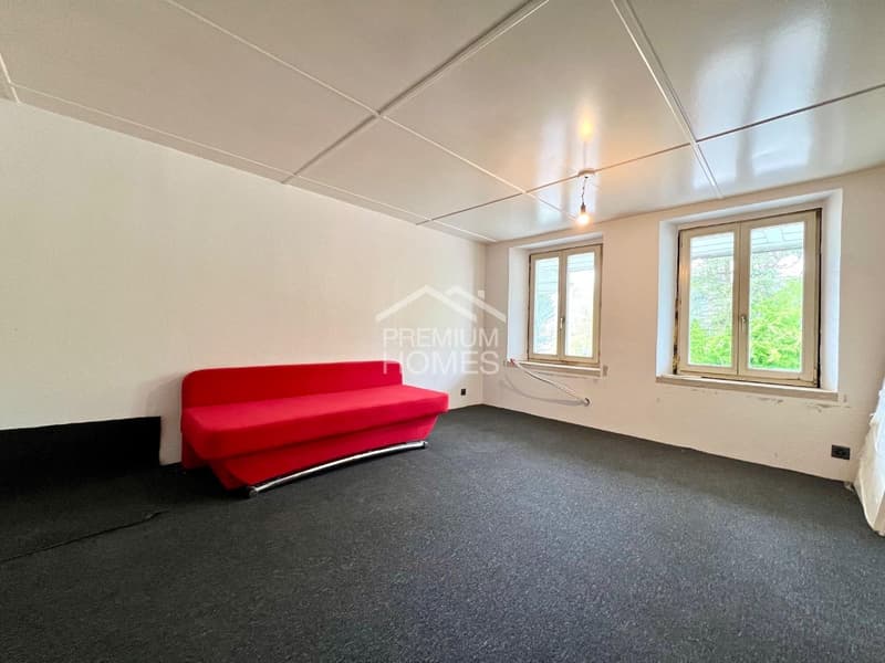 Versatile multi-family house with development potential and approved expansion (7)