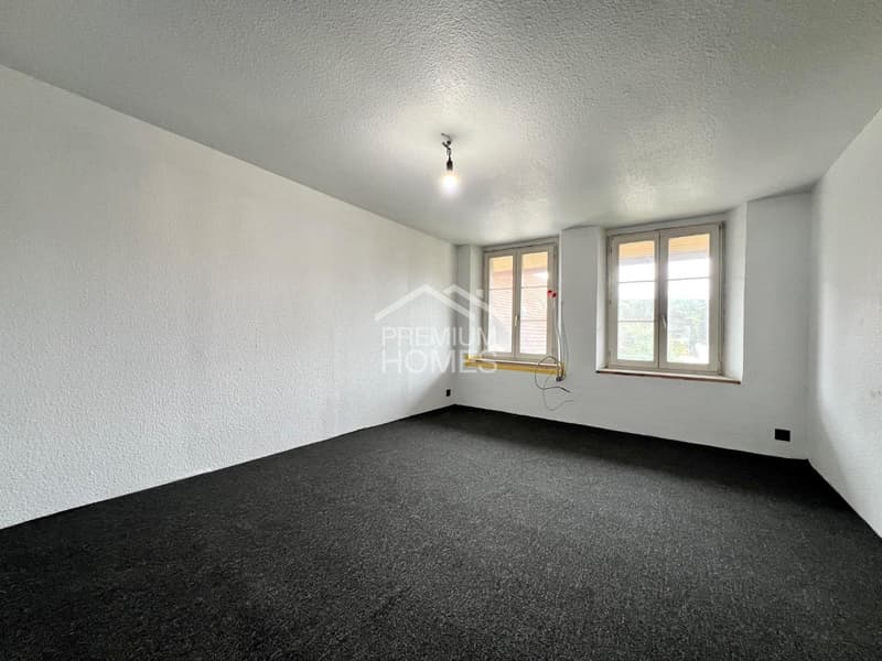 Versatile multi-family house with development potential and approved expansion (6)