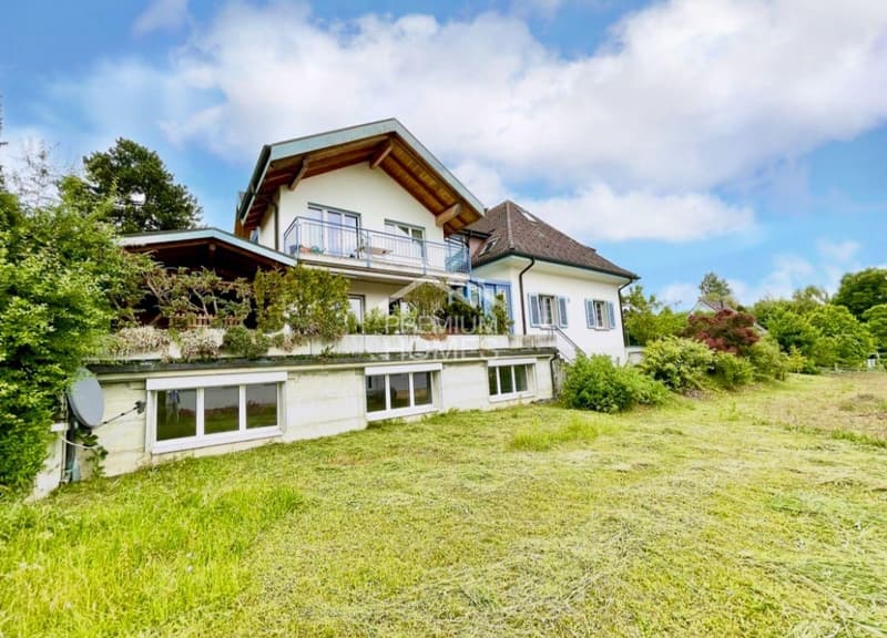 Sun Hill Reinach - two houses, one glass tract, unused potential (2)