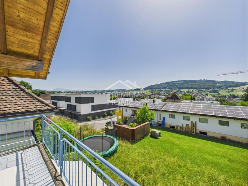 Sun Hill Reinach - two houses, one glass tract, unused potential (8)
