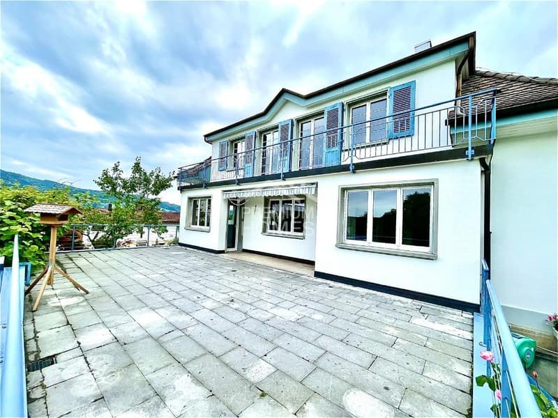 Sun Hill Reinach - two houses, one glass tract, unused potential (3)