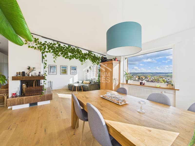 Vivre avec vue sur l'Aaretal ! (3)