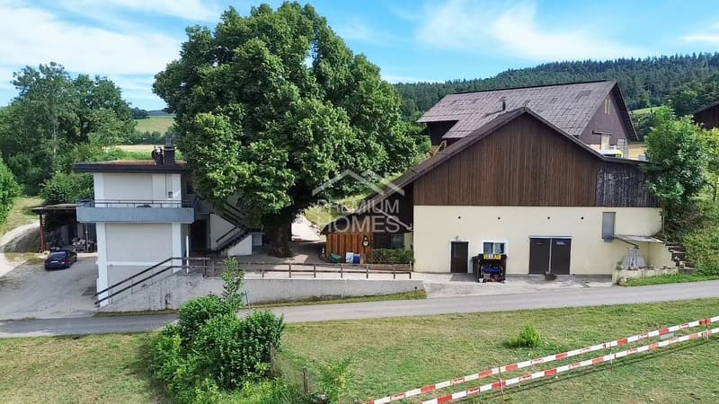 Maison multifamiliale avec élevage de chevaux et espace agricole (1)