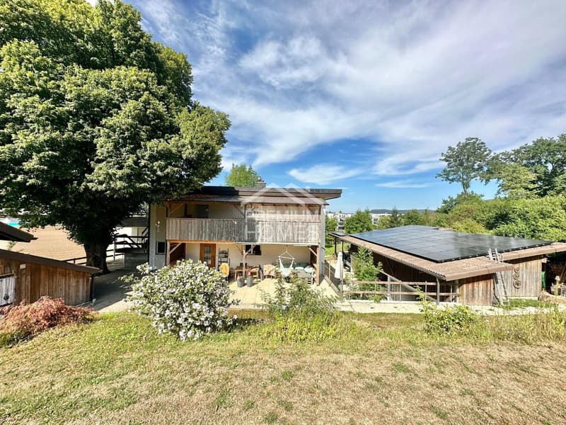 Maison multifamiliale avec élevage de chevaux et espace agricole (12)