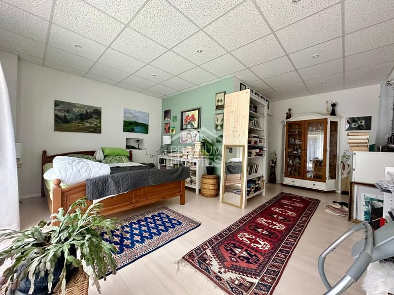 Maison multifamiliale avec élevage de chevaux et espace agricole (3)