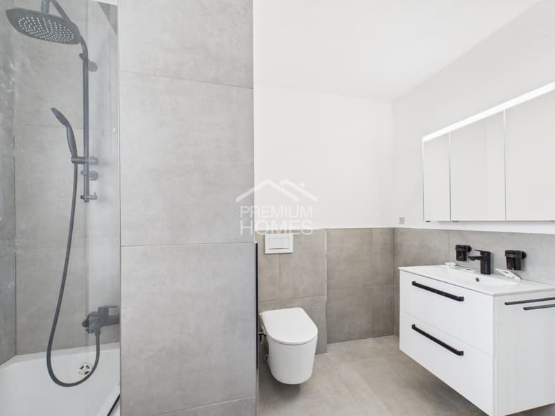 Renovated Dream Home - Available Immediately (9)