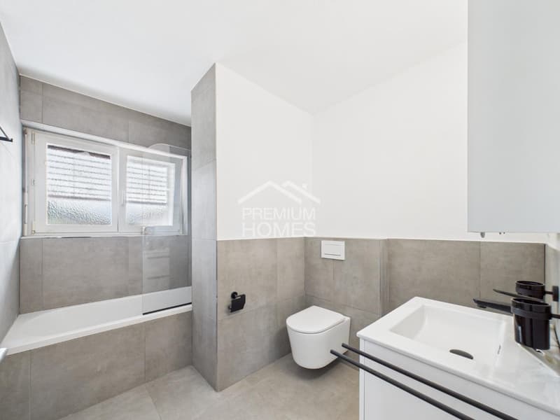 Renovated Dream Home - Available Immediately (8)