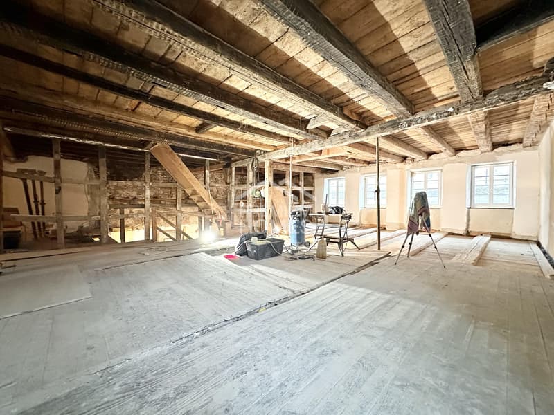 Stylish multi-family house with 3 residential units - APPROVED! (3)