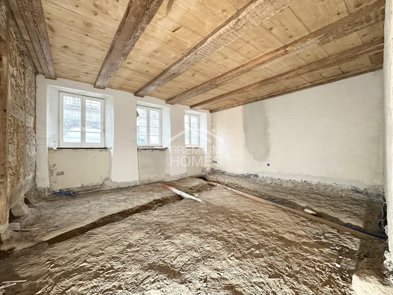 Stylish multi-family house with 3 residential units - APPROVED! (2)