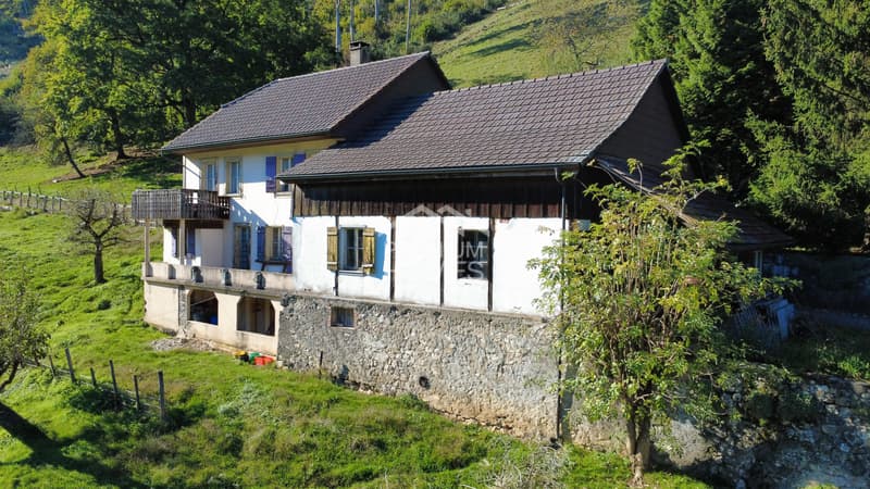 Estate in the agricultural zone with 2 residential units, large parcel (3)