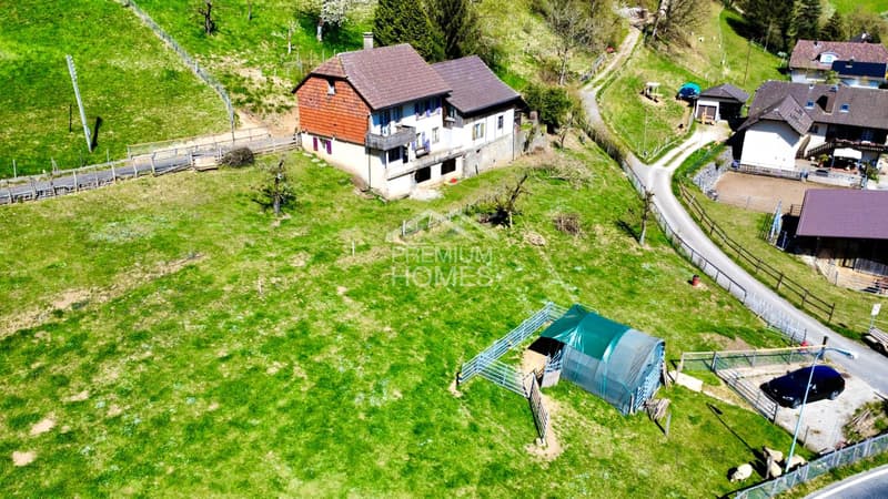 Estate in the agricultural zone with 2 residential units, large parcel (1)