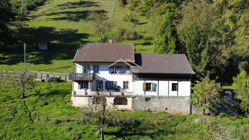 Estate in the agricultural zone with 2 residential units, large parcel (2)
