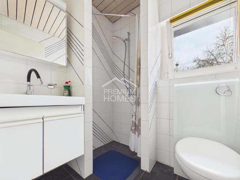 A Dream House Available Immediately (8)