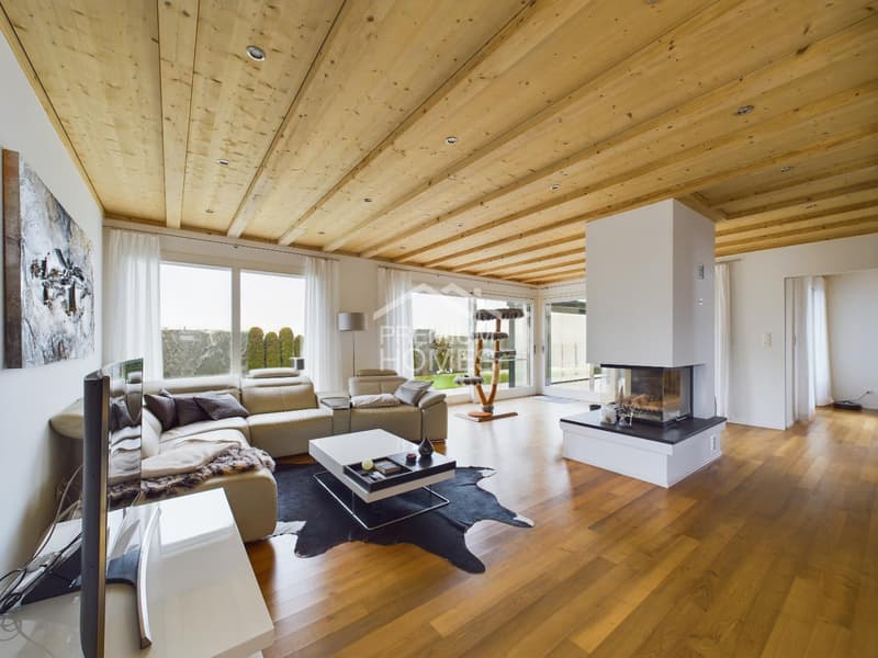 Stylish living at the highest level (5)