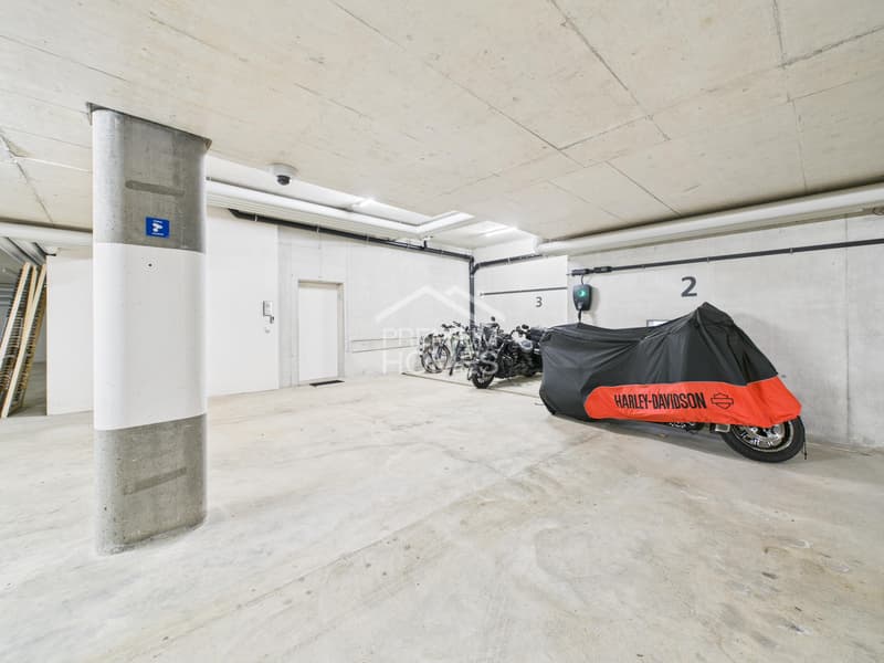 A Home as a Statement (13)