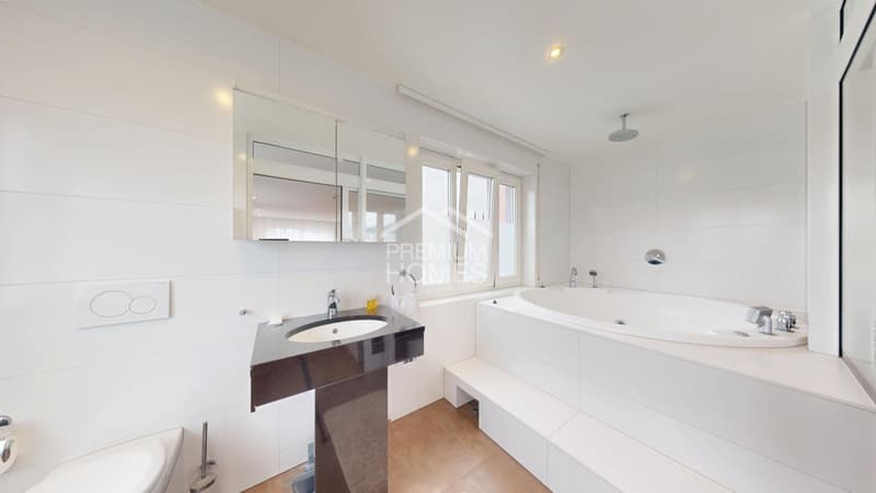 Investment in the heart of Olten city! (6)