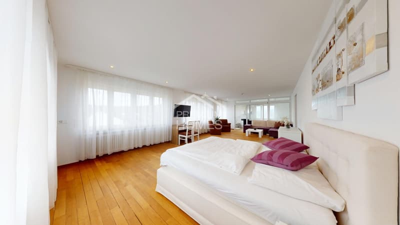 Investment in the heart of Olten city! (5)
