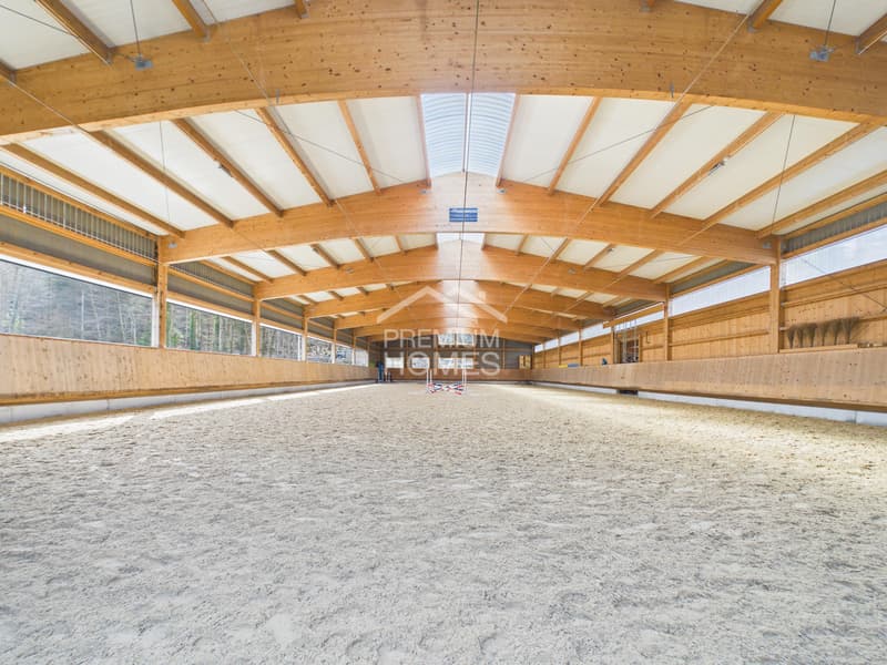 Equestrian sports at the highest level - a paradise for horses and riders! (2)