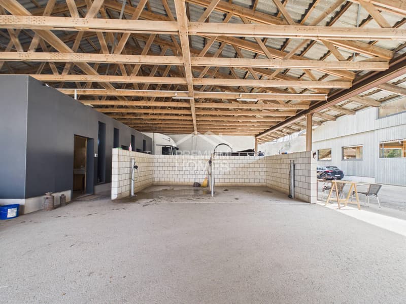 Equestrian sports at the highest level - a paradise for horses and riders! (12)