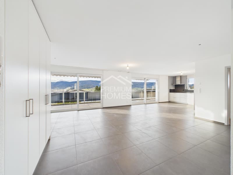 Bright attic with panoramic view (2)