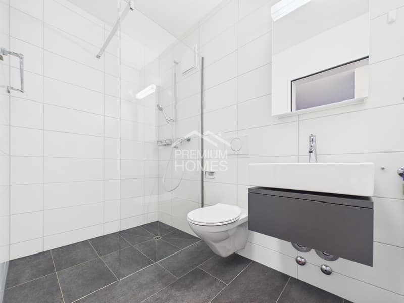 Exclusive living in the sought-after Bielersee area (6)