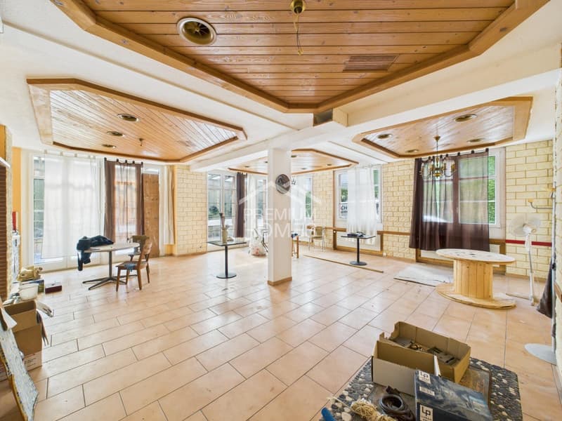 For Visionaries & Investors (5)