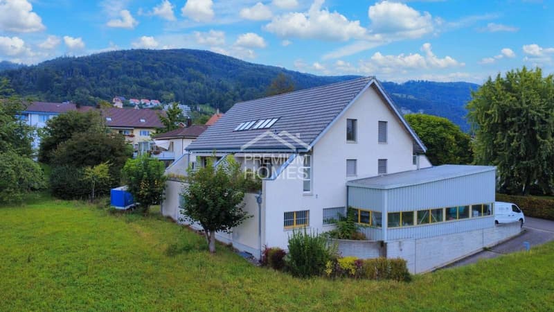 RESERVED! Attractive property with versatile potential (1)