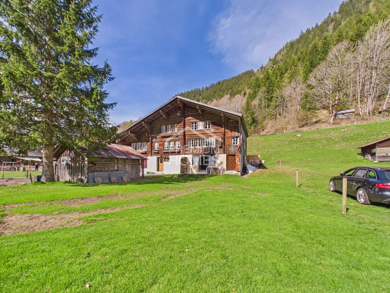 View - Location - Quality (1)