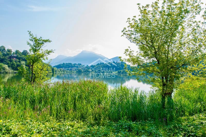 Residenza di prestigio tra parco, bosco, lago e privacy assoluta (1)