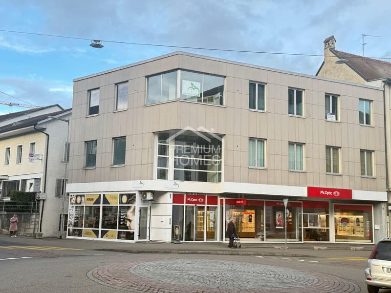 ZURICH INVESTORS 5.6% GROSS RETURN IN DELÉMONT (4)