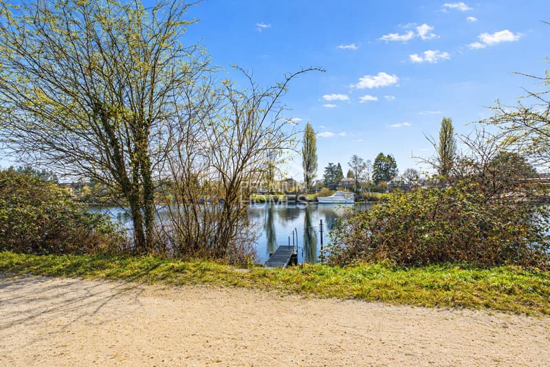 Nature pure by the Aare (2)