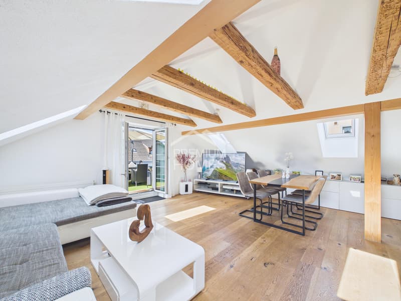 INVESTMENT WITH A FUTURE IN A TOP LOCATION (4)