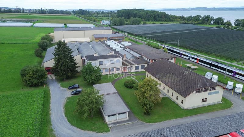NEW LOCATION FOR SUCCESS ON LAKE CONSTANCE (3)