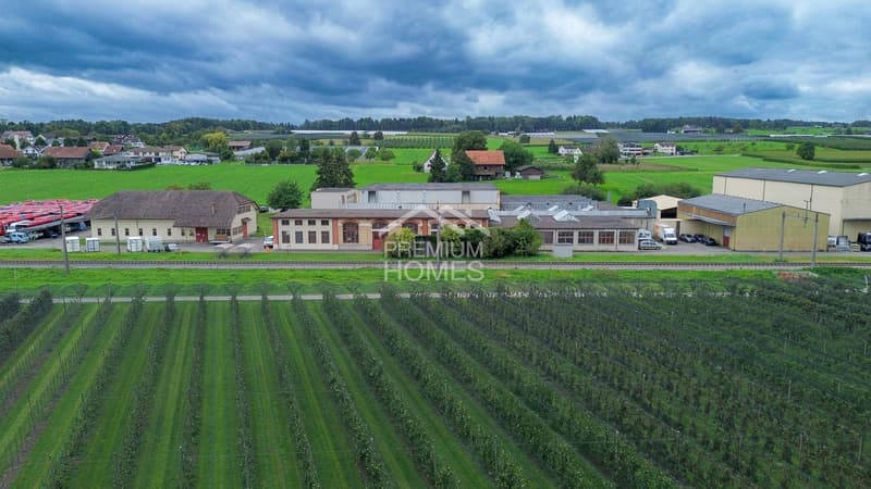 NEW LOCATION FOR SUCCESS ON LAKE CONSTANCE (2)