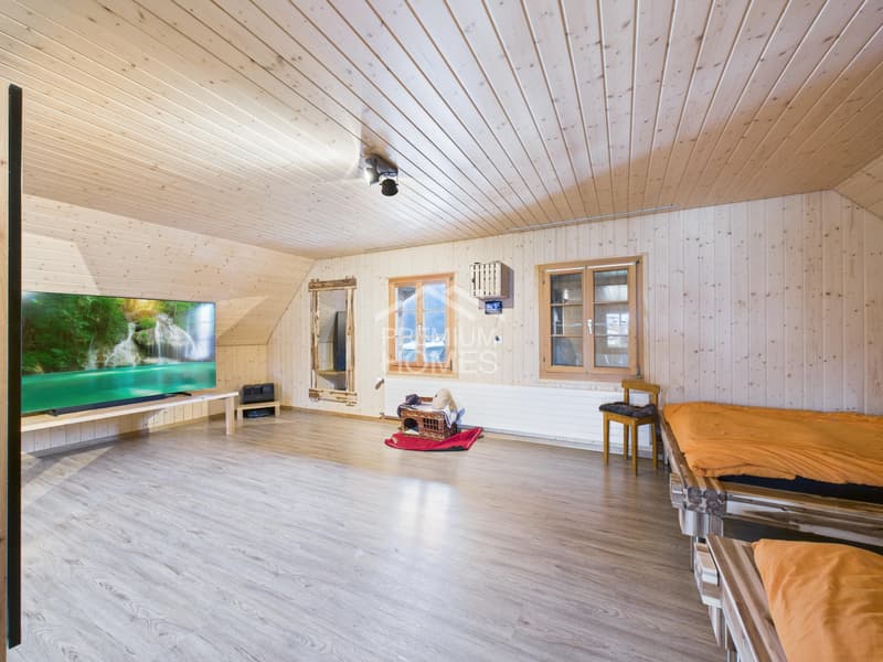 Spacious country house with large plot, workshop & ideal for animals (11)
