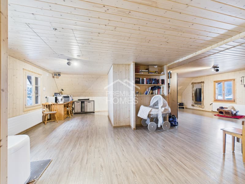 Spacious country house with large plot, workshop & ideal for animals (10)