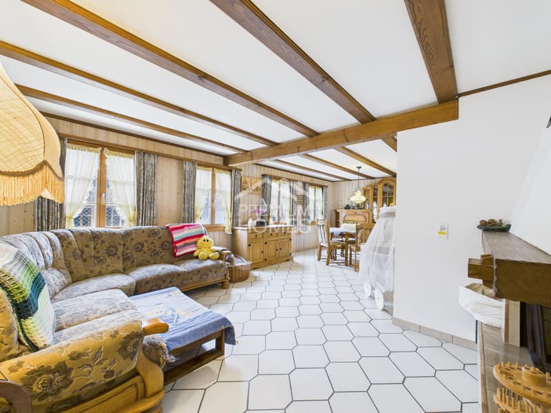 Spacious country house with large plot, workshop & ideal for animals (7)