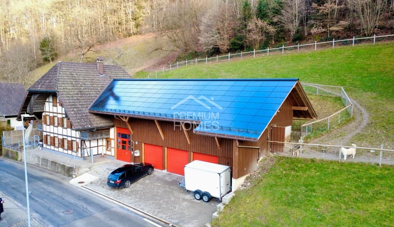 Spacious country house with large plot, workshop & ideal for animals (2)