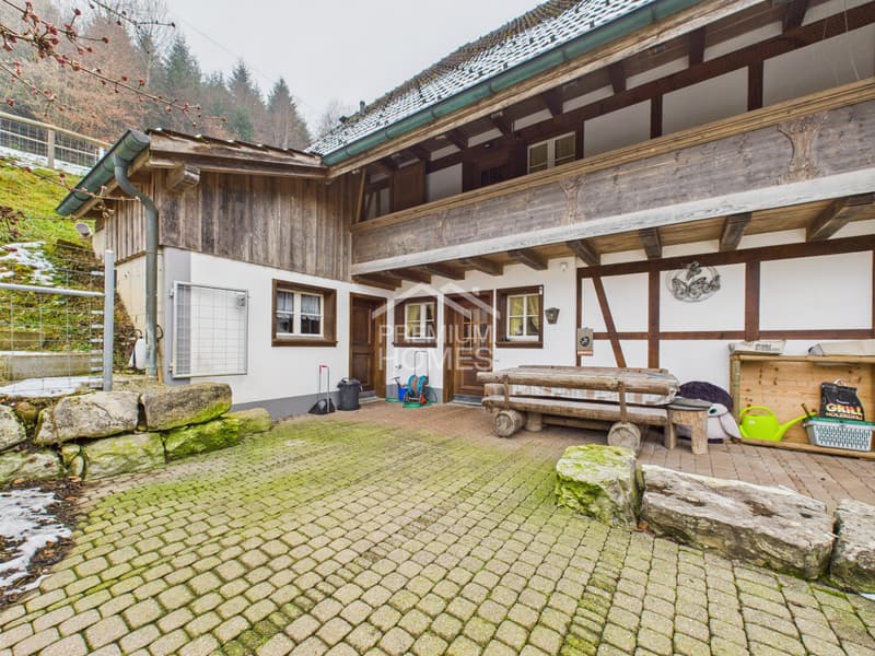 Spacious country house with large plot, workshop & ideal for animals (5)