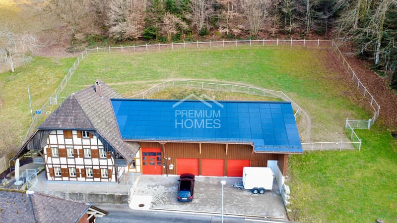 Spacious country house with large plot, workshop & ideal for animals (1)