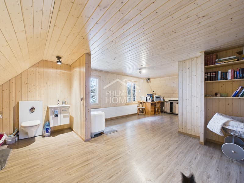 Spacious country house with large plot, workshop & ideal for animals (12)