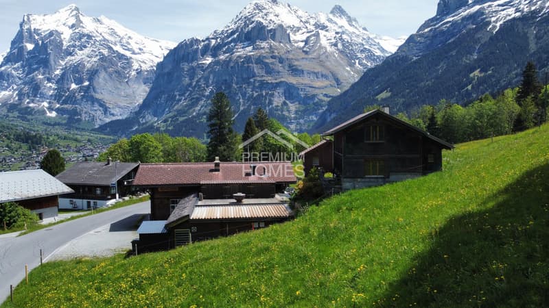 Das Jägerstübli & die 4 Suiten - Ihr eigenes Renditedorf! (3)