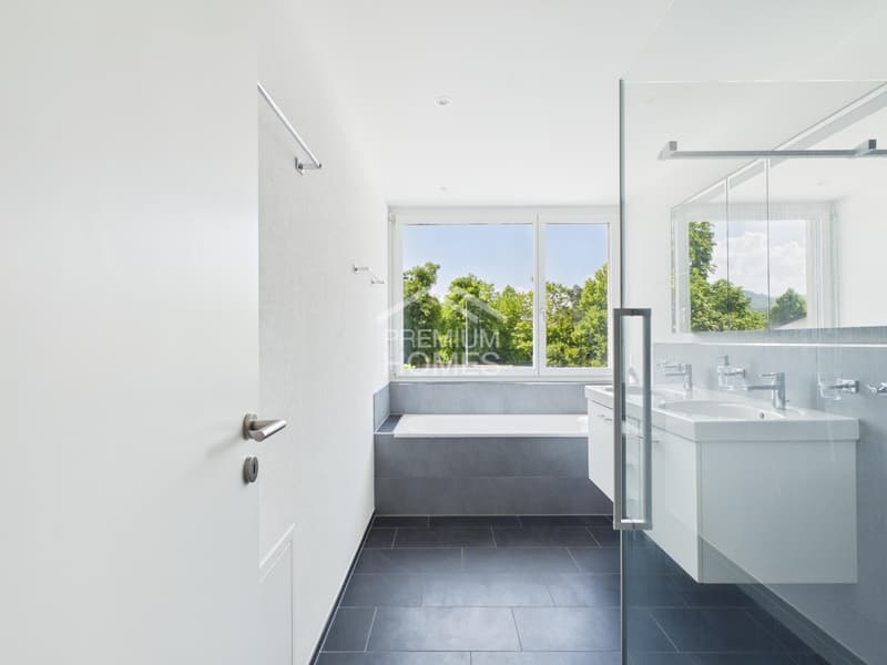 Move in and feel at home in Muttenz (8)