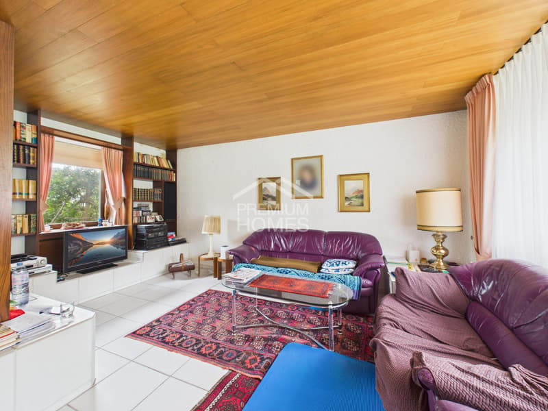 Charming Home with Great Potential (1)