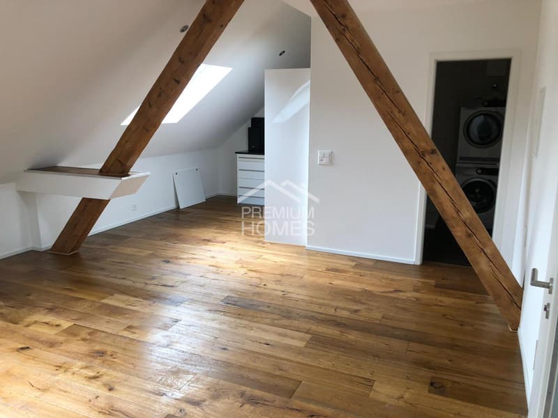 Charmante 2.5-Zimmer-Dachwohnung! (4)